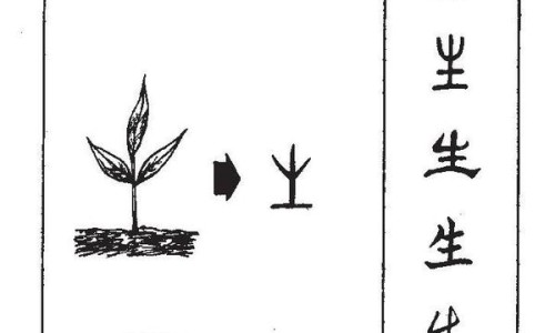 万胜生精片多少钱一盒-万胜牌生精片的功效和作用网- 万胜药业生精片女人能吃吗知识,分享万胜生精片多少钱一盒